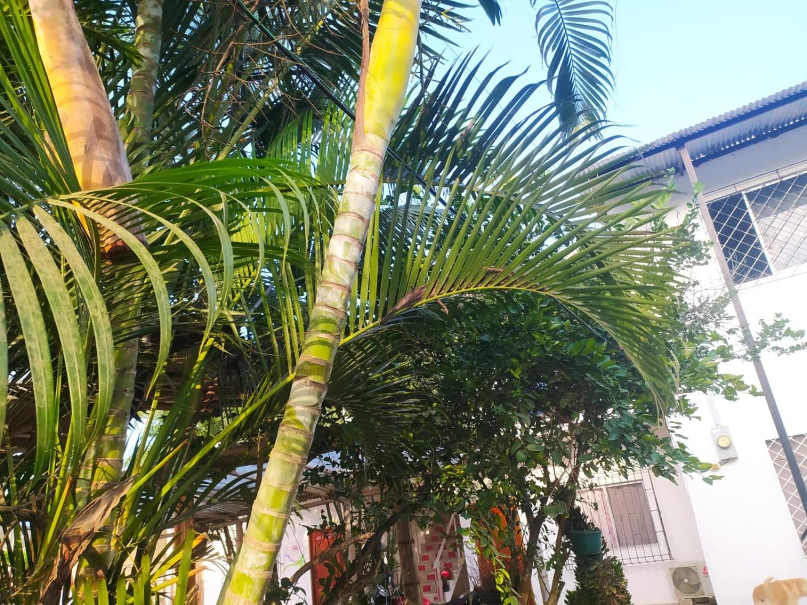 Hosteria Del Puerto Puerto Lopez Bagian luar foto
